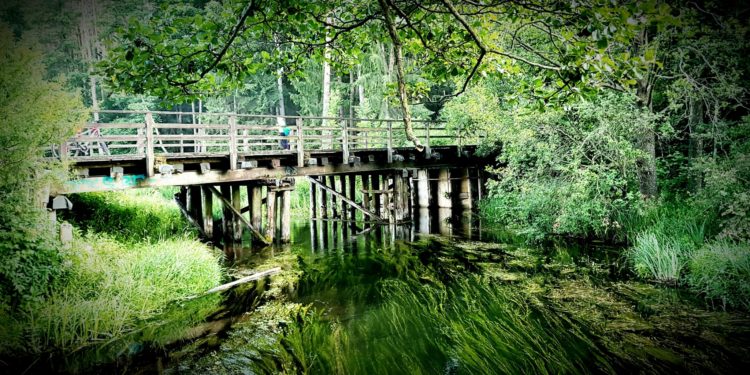 Autor: Szymon Kozicz