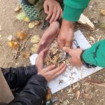 Bushcraft i survival w Szypliszkach WhatsApp Image 2025 10 27 at 08.33.45