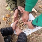 Bushcraft i survival w Szypliszkach WhatsApp Image 2025 10 27 at 08.33.46