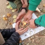 Bushcraft i survival w Szypliszkach WhatsApp Image 2025 10 27 at 08.33.47