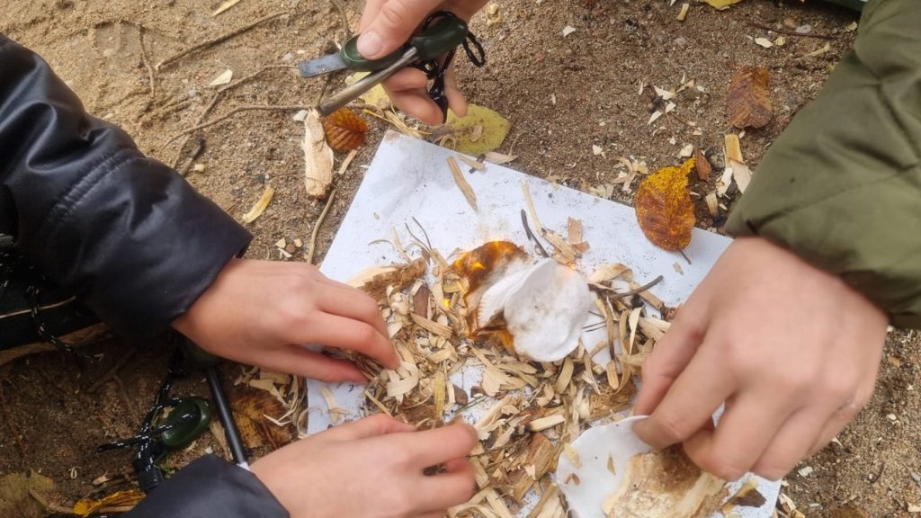 Bushcraft i survival w Szypliszkach WhatsApp Image 2025 10 27 at 08.33.47 2