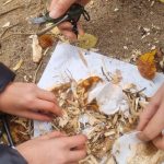 Bushcraft i survival w Szypliszkach WhatsApp Image 2025 10 27 at 08.33.47 2