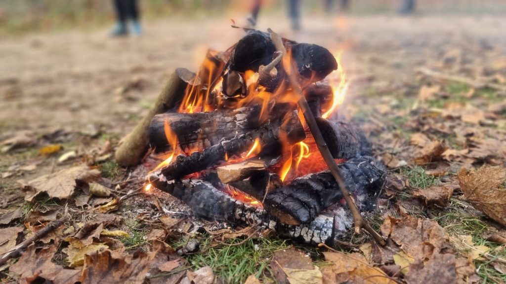 Bushcraft i survival w Szypliszkach WhatsApp Image 2025 10 27 at 08.34.16 1
