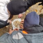 Bushcraft i survival w SzypliszkachWhatsApp Image 2025 10 27 at 08.33.44 1