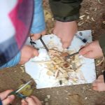 Bushcraft i survival w SzypliszkachWhatsApp Image 2025 10 27 at 08.34.03 1