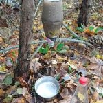 Bushcraft i survival w SzypliszkachWhatsApp Image 2025 10 27 at 08.34.03