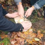 Bushcraft i survival w SzypliszkachWhatsApp Image 2025 10 27 at 08.34.07 2