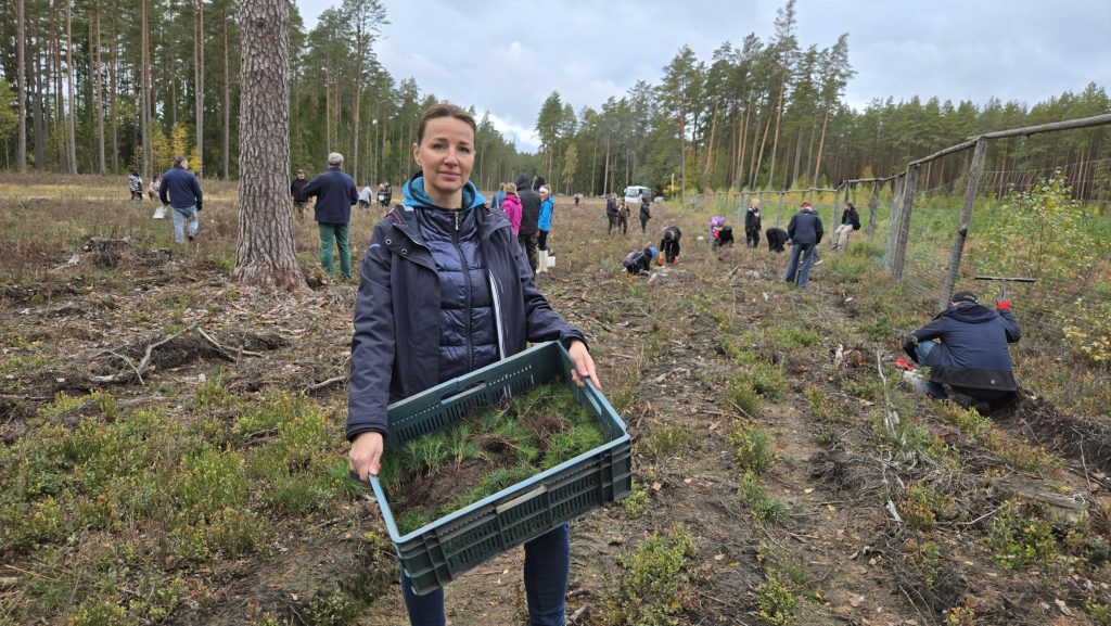 Posadzili 8 tysięcy drzew 15 c2d352fb 89fd 4994 9135 20374f9055fc