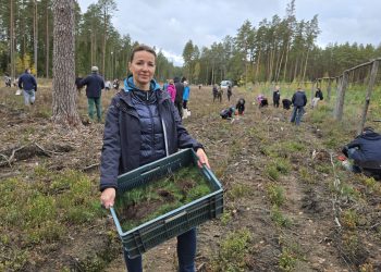 c2d352fb 89fd 4994 9135 20374f9055fc