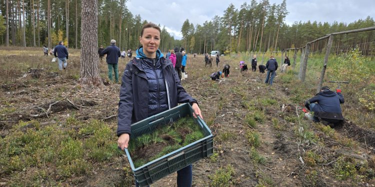 c2d352fb 89fd 4994 9135 20374f9055fc