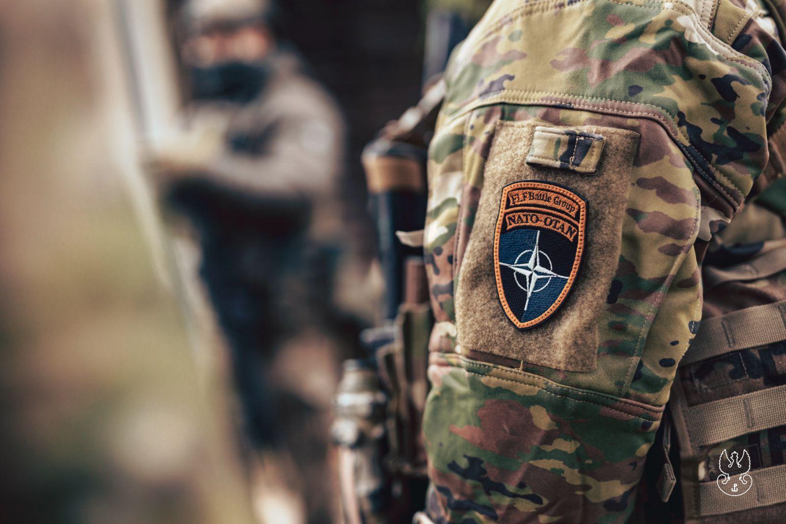 d309b13d c4f2 4208 9d52 96c71dfea884