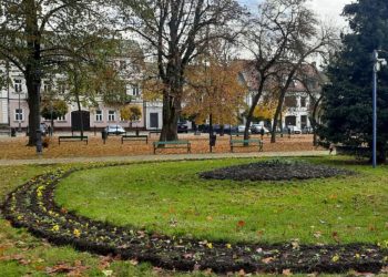 kwiaty nasadzenia jesienne 3 1024x1024 1