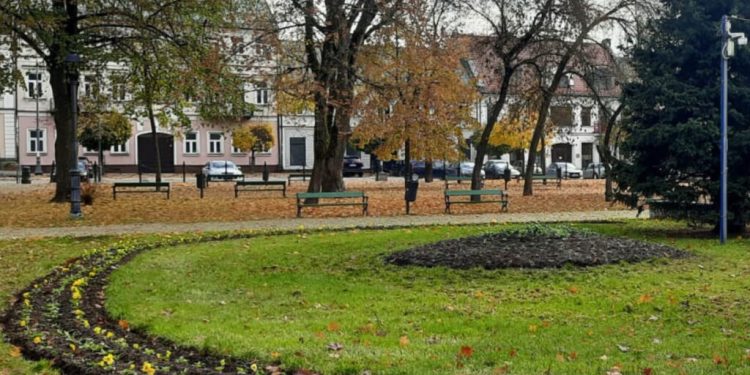 kwiaty nasadzenia jesienne 3 1024x1024 1