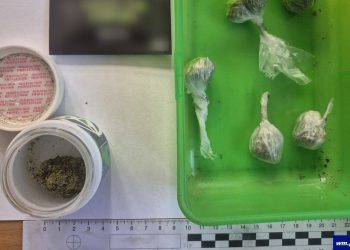 Odpowie za posiadanie narkotyków 7 Fot. KPP Węgorzewo