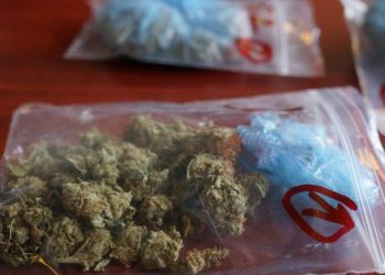 CREATOR: gd-jpeg v1.0 (using IJG JPEG v80), quality = 85