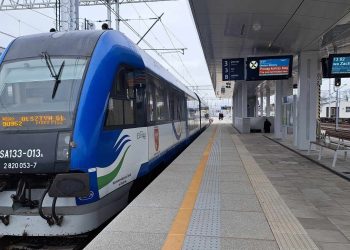 Zdjęcie jest tylko ilustracją do tekstu