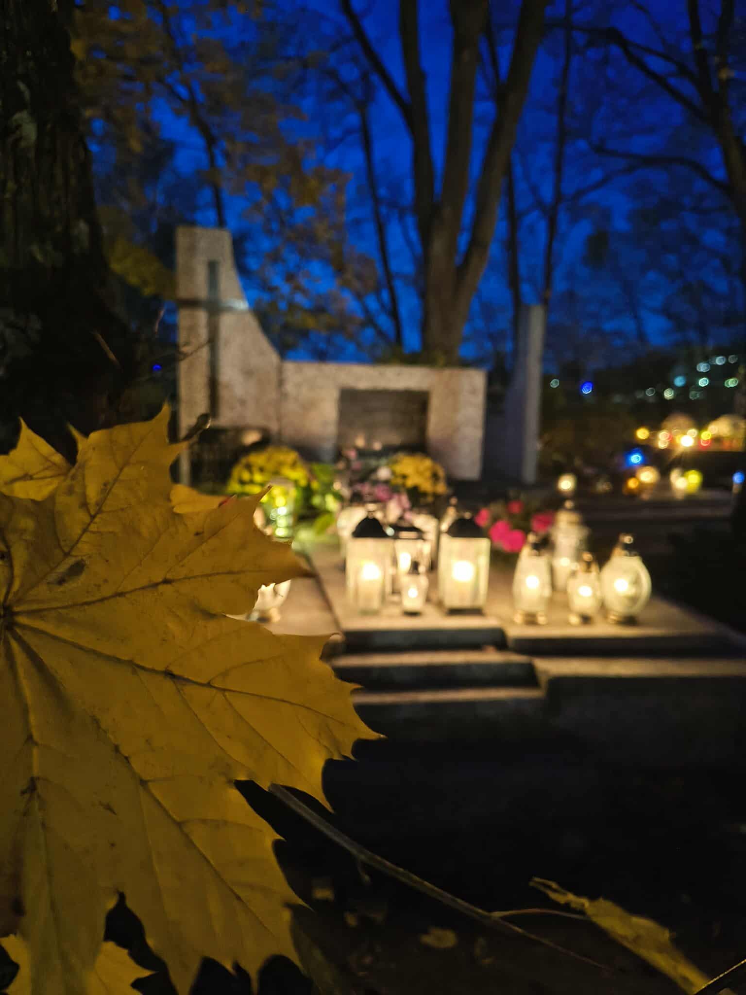 572035308 1670683260932281 5725404847107180805 n