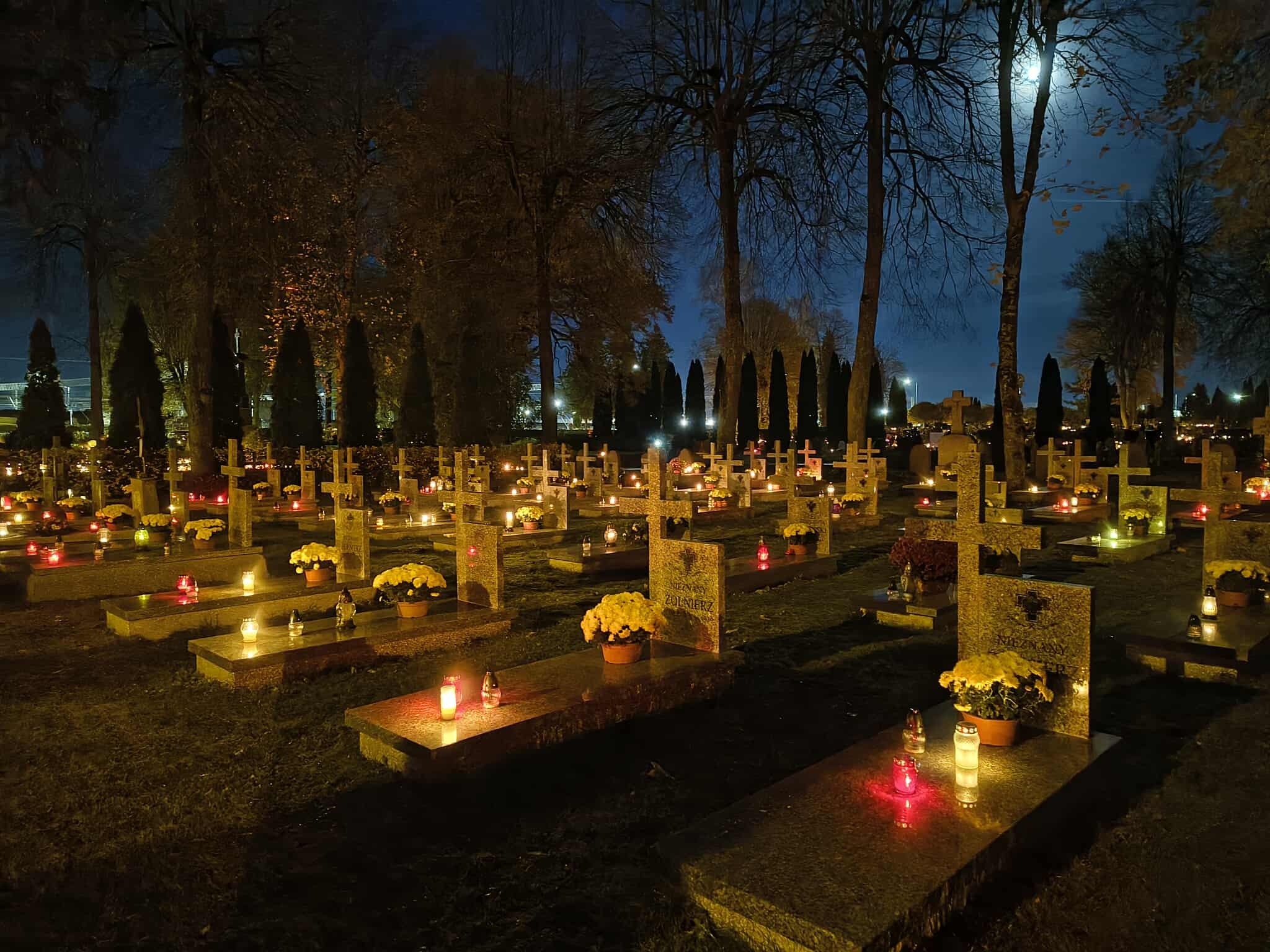 572785285 1670683044265636 1611567077234845582 n