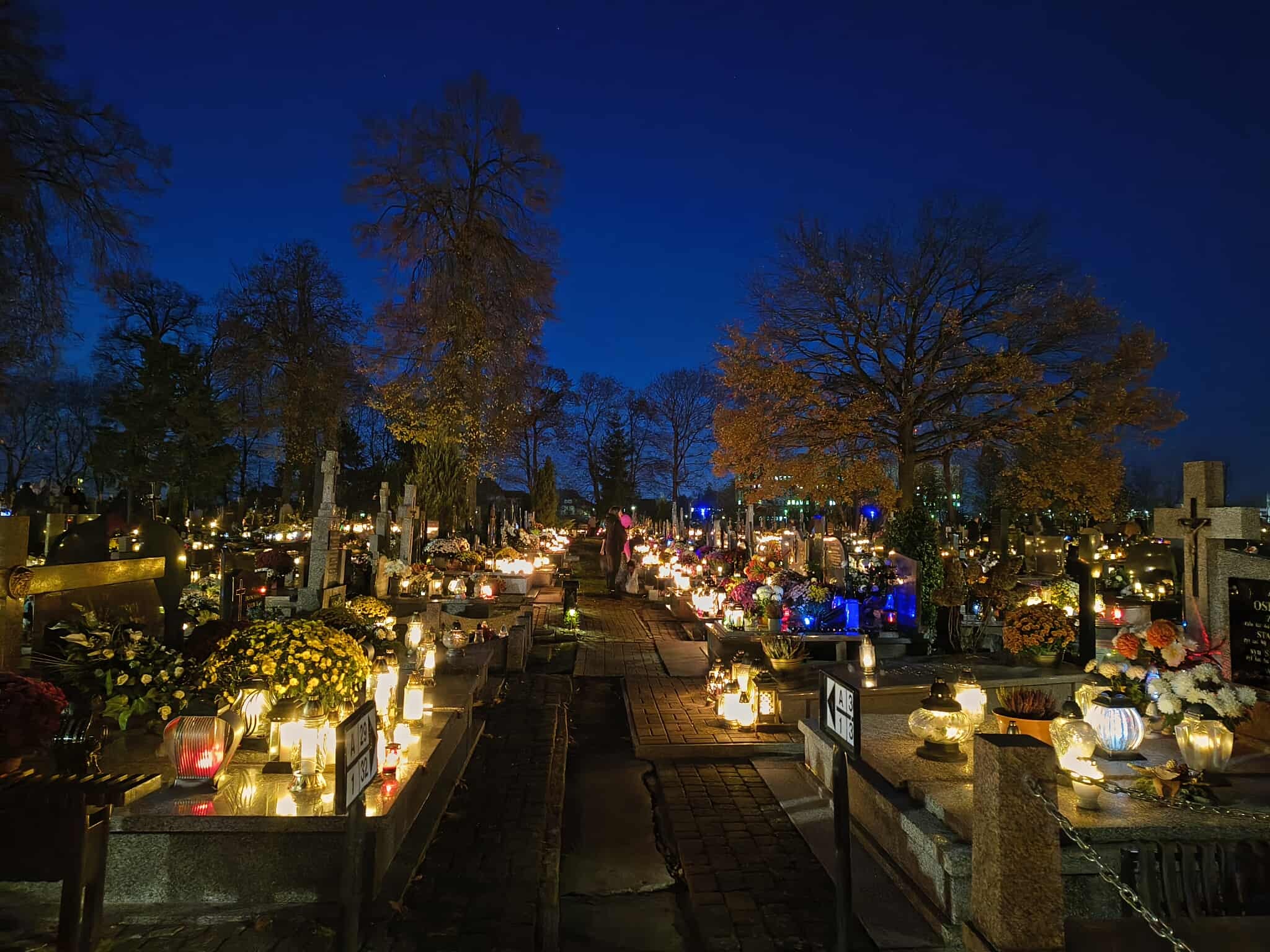 572786451 1670683160932291 8235360188490412692 n