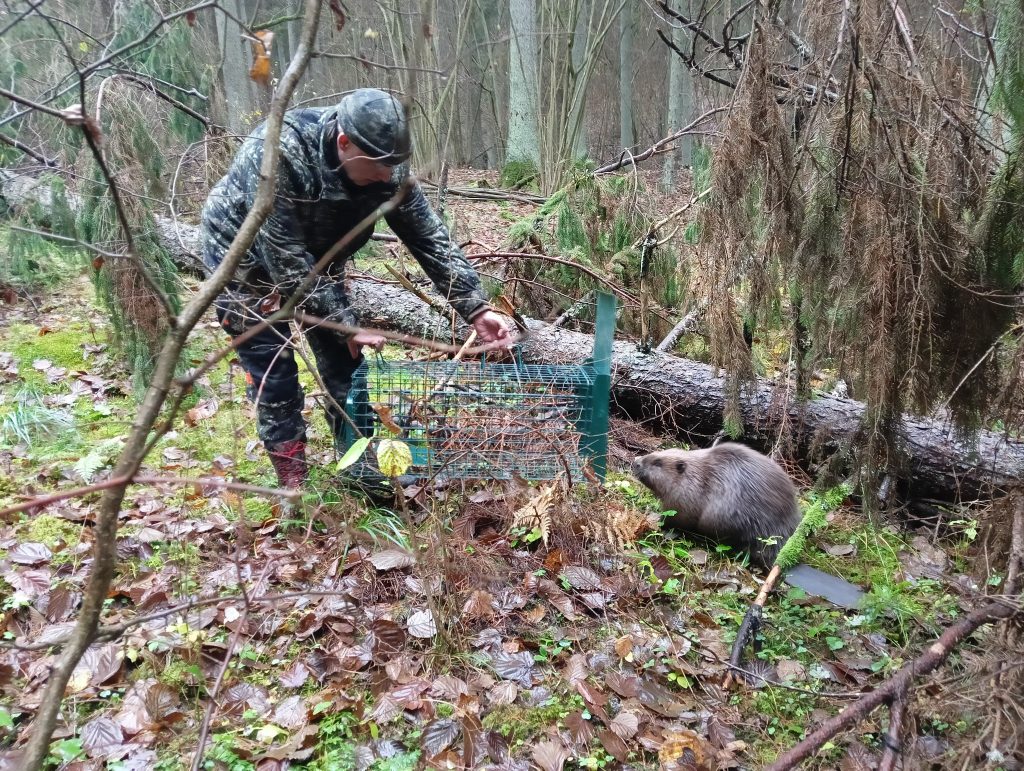 583107880 1301677405336217 4544743846285316640 n