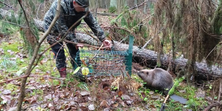 583107880 1301677405336217 4544743846285316640 n