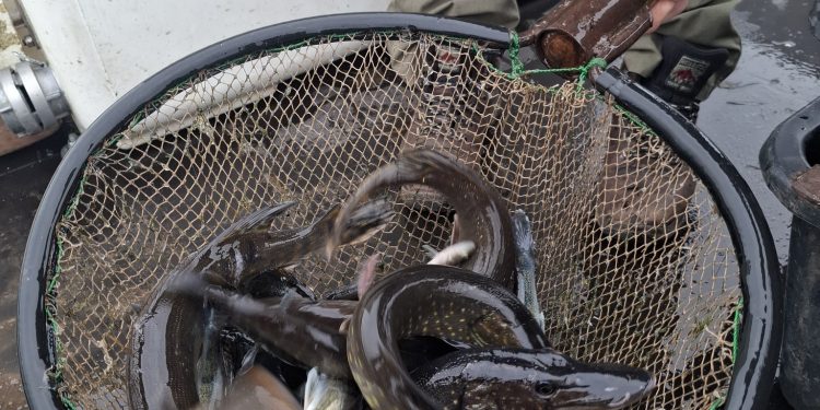 źródło: OSiR Suwałki