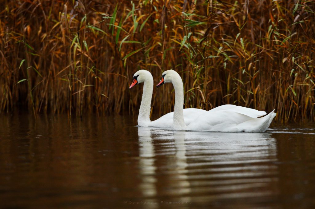 586765414 1303388508498440 5780159925784334413 n