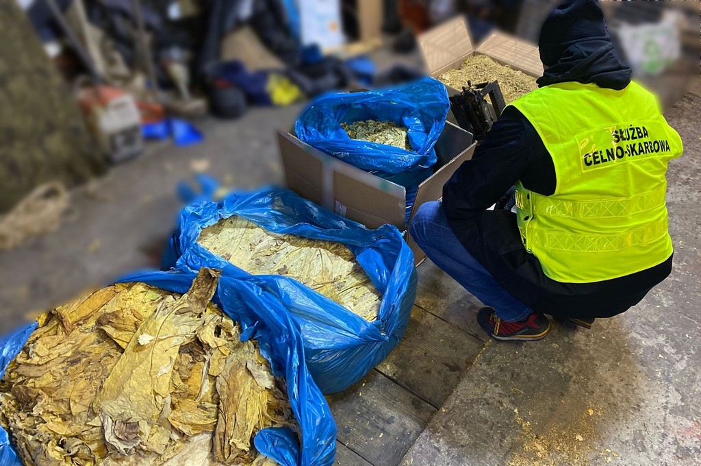 Nielegalny tytoń w Piątnicy i Wasilkowie 2 8bae8990 736e 4cad b793 444784152a5d