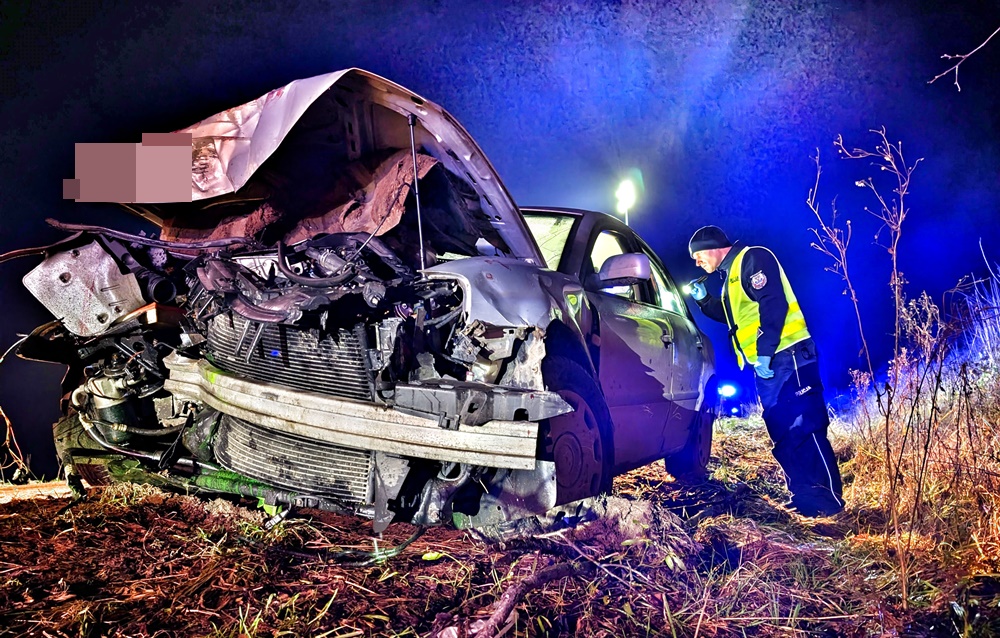 IMG 20251118 WA0083 crop 1