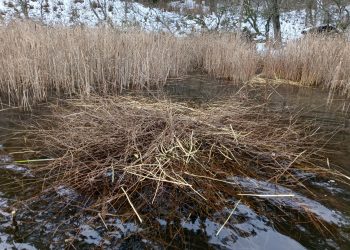 WhatsApp Image 2025 11 28 at 12.03.44