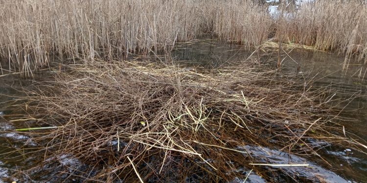 WhatsApp Image 2025 11 28 at 12.03.44