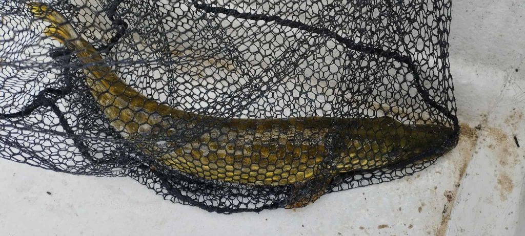 received 1343993054028711