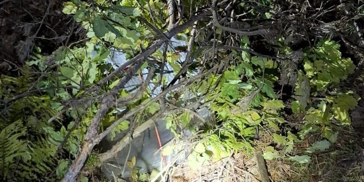 źródło: Podlaski Oddział Straży Granicznej