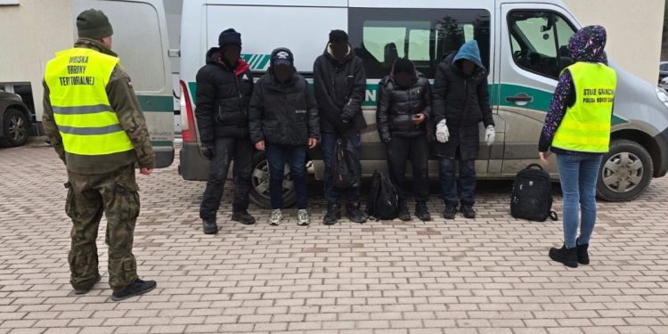 Nielegalni migranci w rękach służb 1 źródło: POSG