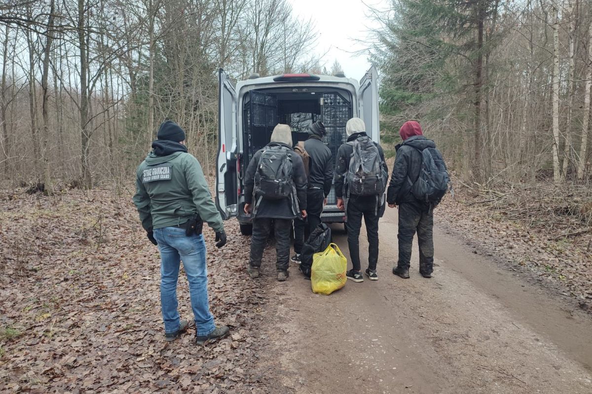 Nielegalni migranci w rękach służb 3 15 336765