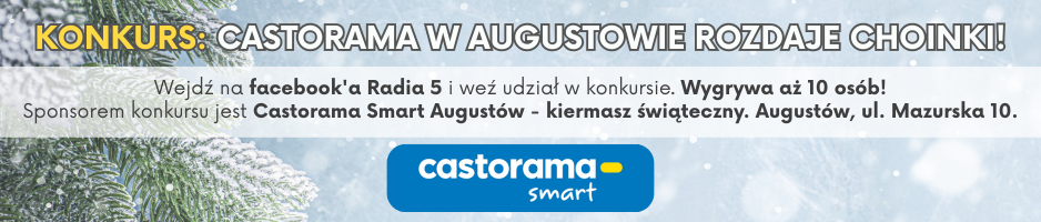 Castorama baner na portal