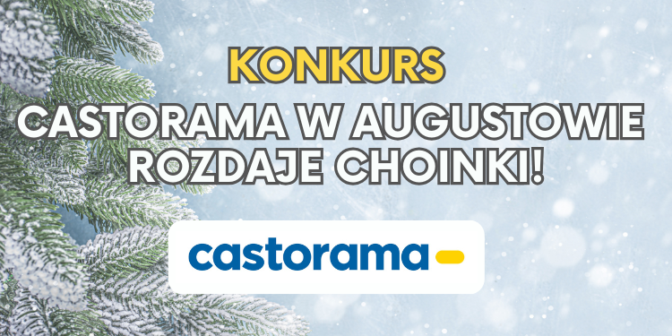 KONKURS_Castorama w Augustowie rozdaje choinki 1 Castorama w Elku rozdaje choinki 3