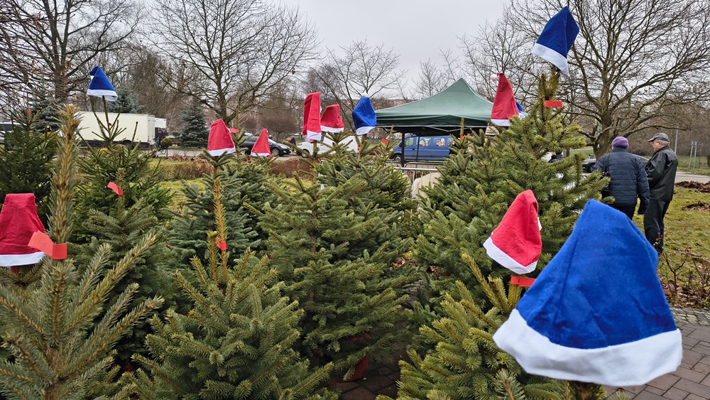 Święta tuż tuż. W Ełku trwa Jarmark Bożonarodzeniowy 26 Jarmark Bozonarodzeniowy Elk 2025 27