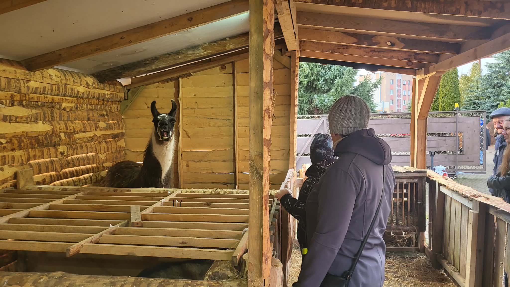 Messenger creation 091C5118 AA68 4063 844A 17A2F793E85E