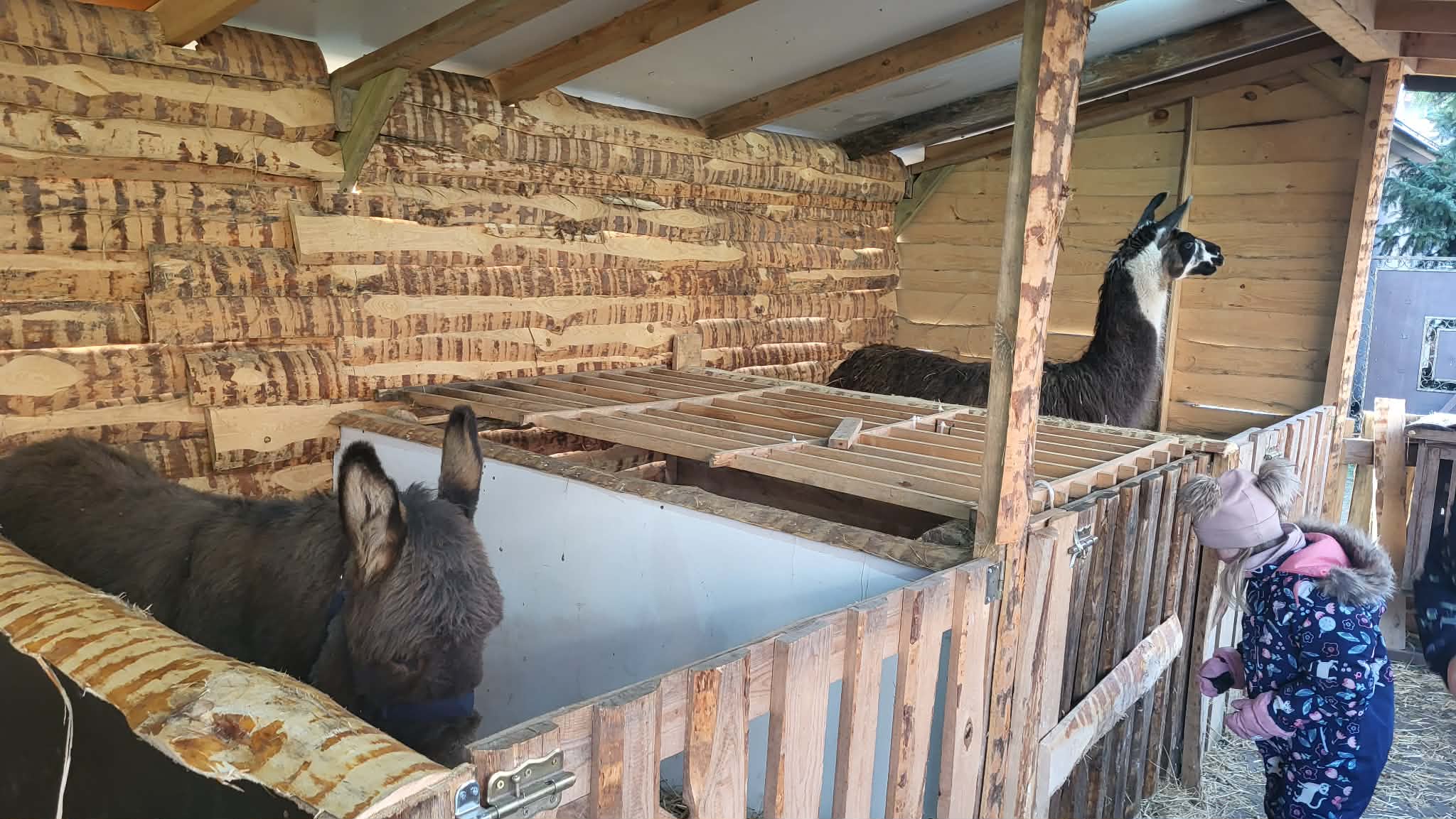 Messenger creation 625ACF5B D7D8 485F 834A 05DE81C42BC9