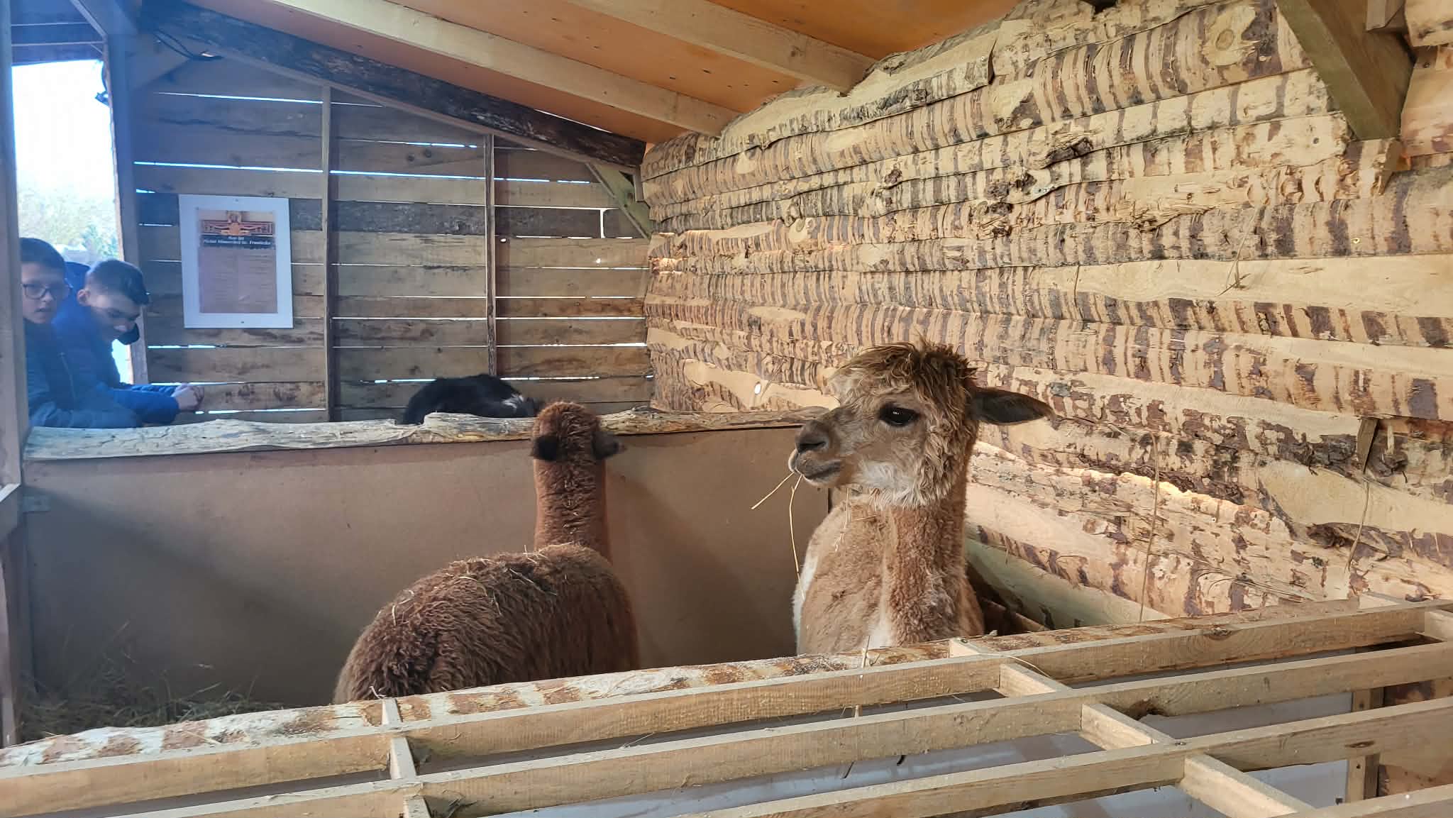 Messenger creation 7155DDBA BA69 483B B424 E1F0BE2A2BC2