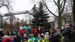 Choinka w parku już ozdobiona! 51 choinko001