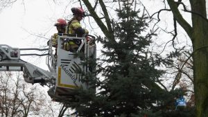 Choinka w parku już ozdobiona! 52 choinko002