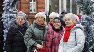 Choinka w parku już ozdobiona! 2 choinko008