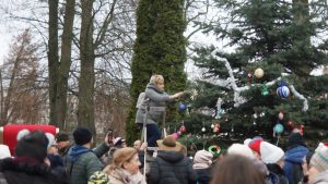 Choinka w parku już ozdobiona! 10 choinko016