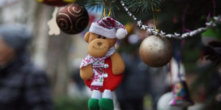 Choinka w parku już ozdobiona! 1 choinko025