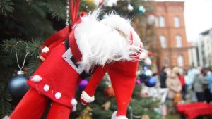 Choinka w parku już ozdobiona! 35 choinko041