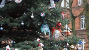 Choinka w parku już ozdobiona! 36 choinko042