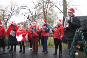 Choinka w parku już ozdobiona! 38 choinko044
