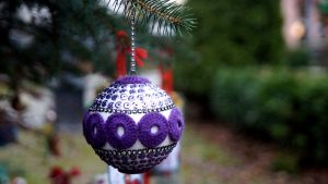 Choinka w parku już ozdobiona! 42 choinko048